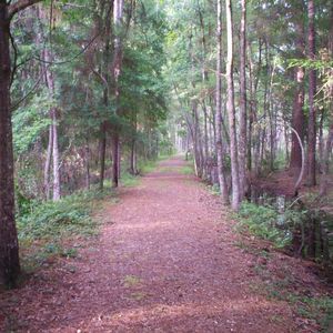 Meet your Posher, Bev